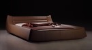 Elegant SENG  thumbnail