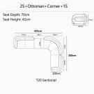 T20 Sectional thumbnail
